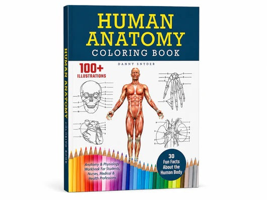 Human Anatomy Colour Book