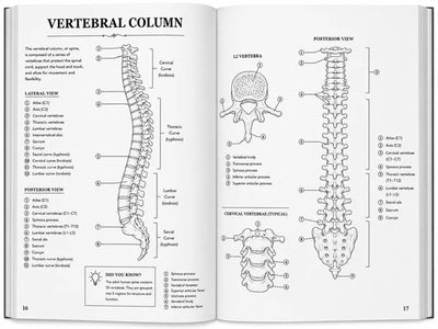 Human Anatomy Colour Book